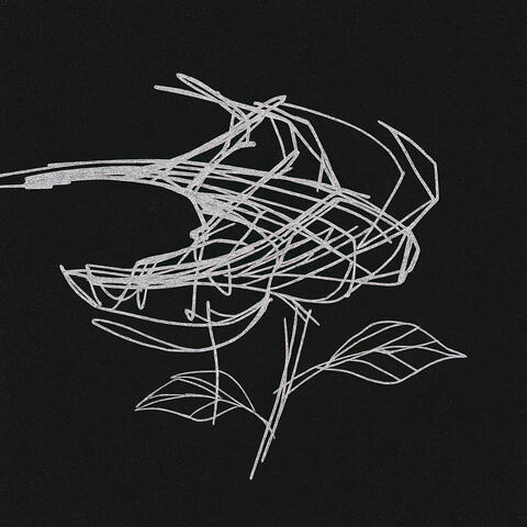 ... album art