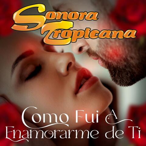 Como Fui A Enamorarme De Ti album art