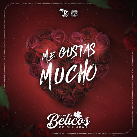 Me Gustas Mucho album art