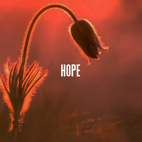 Hope album art