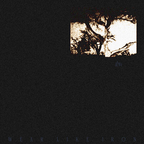 Wear Like Iron album art