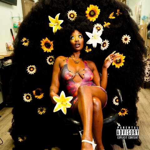 Revenge album art