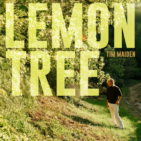 Lemon Tree album art