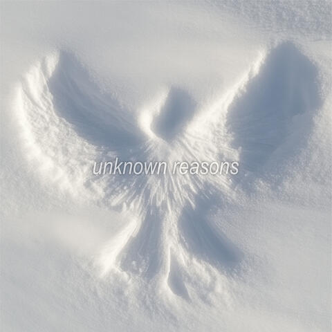 unknown reasons album art