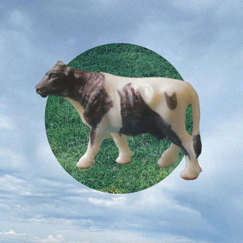Flat Circle album art