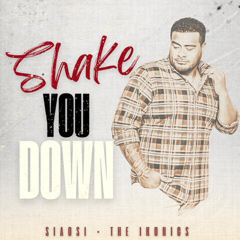 Shake You Down album art