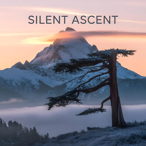Silent Ascent Calming Meditation Music For Deep Sleep And Relaxation album art
