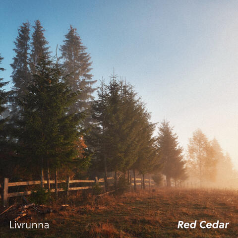 Red Cedar album art
