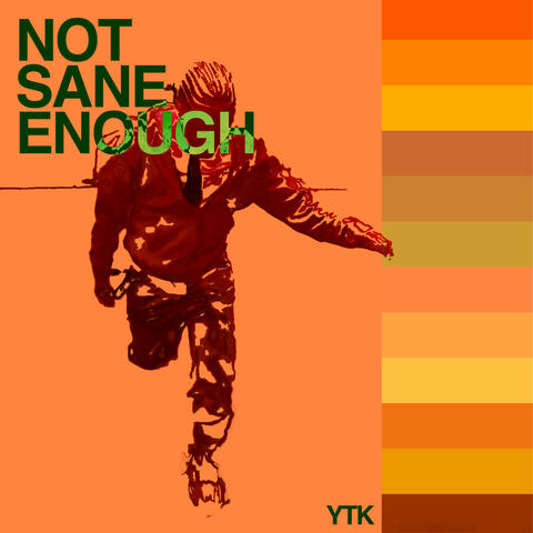 not sane enough album art