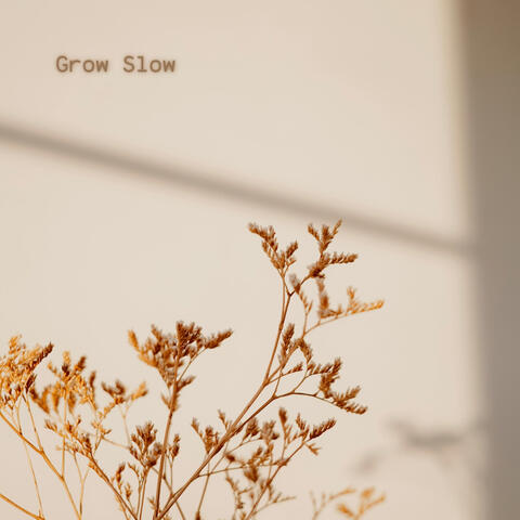 Grow Slow album art