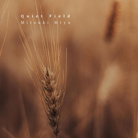 Quiet Field album art