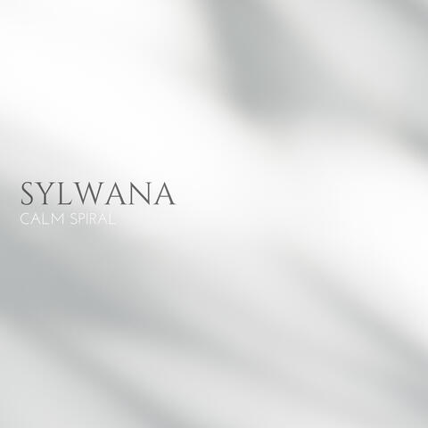 Calm Spiral album art