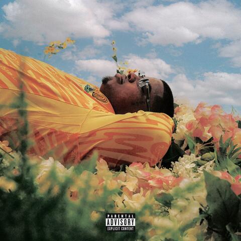 Don't Box Me In album art