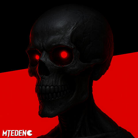 SKULLS album art
