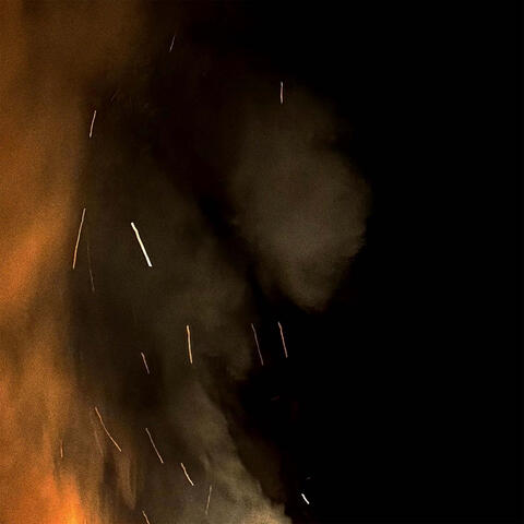 wildfire album art