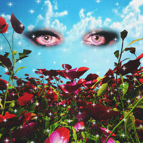 Adicta album art