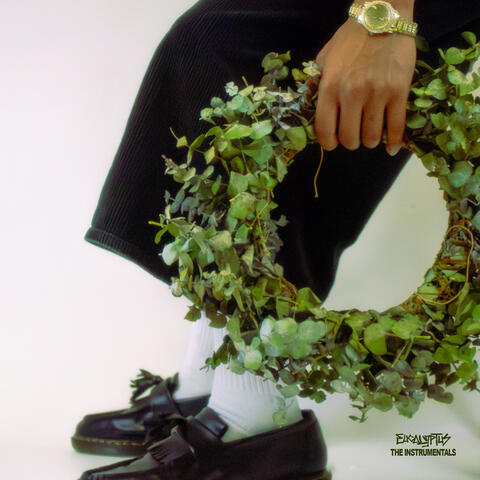 Eucalyptus album art