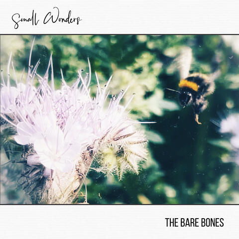 Small Wonders album art