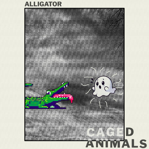 Alligator album art