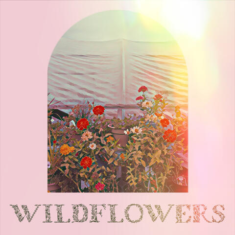 Wildflowers album art