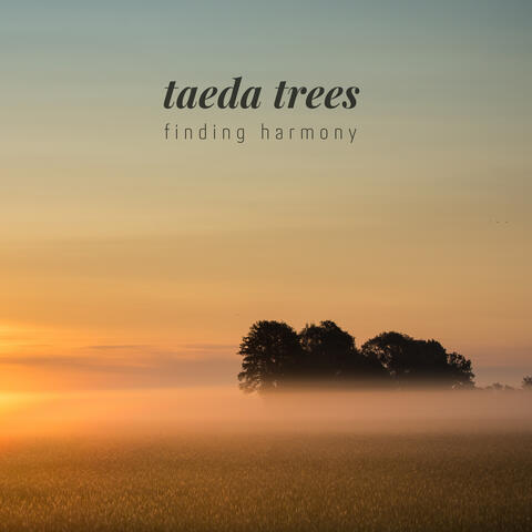 Finding Harmony album art