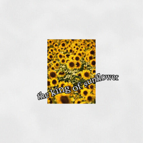 the king of sunflower album art