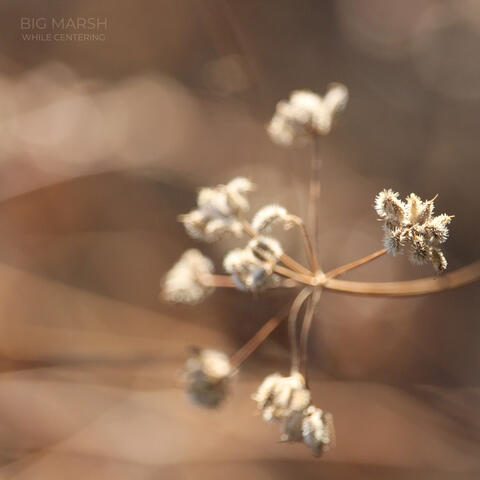 While Centering album art