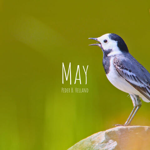May album art