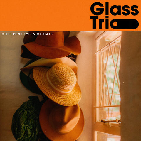 Different Types of Hats album art