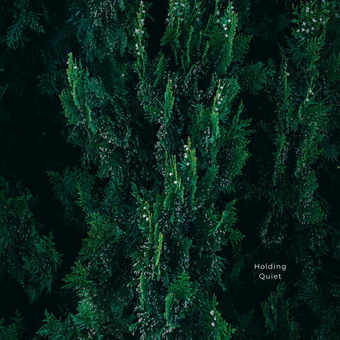Holding Quiet album art