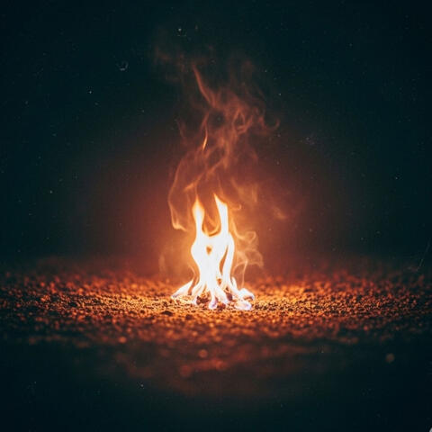 Flickers in the Dark album art