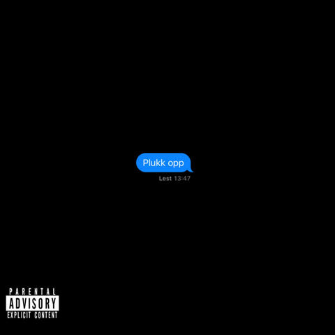 Plukk Opp album art