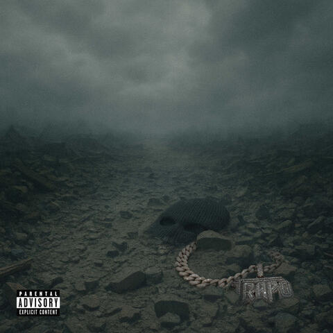 When The Dust Settles album art