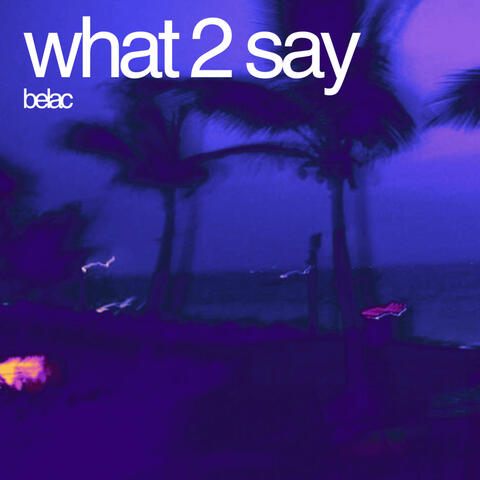 What 2 Say album art