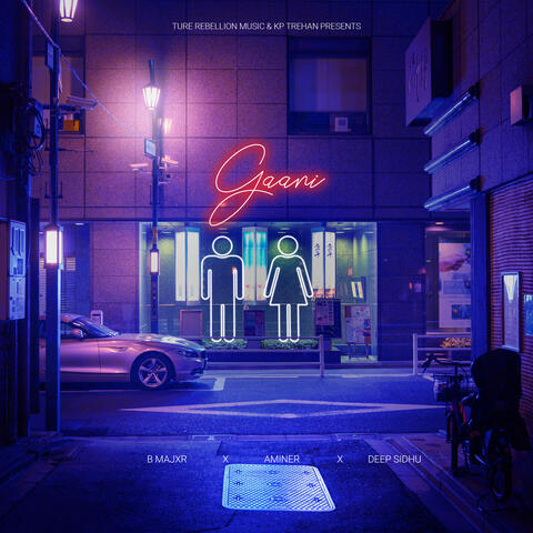 Gaani album art