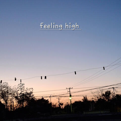 Feeling High album art