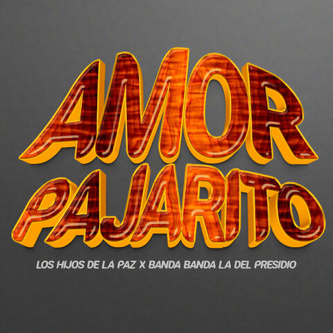 Amor Pajarito album art
