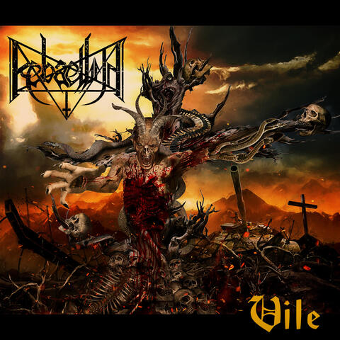 Vile album art