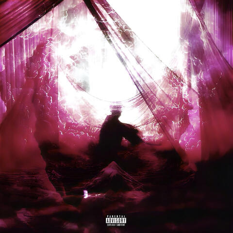 vain album art