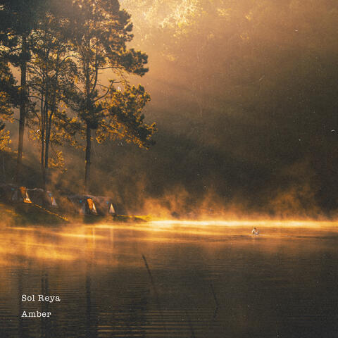 Amber album art