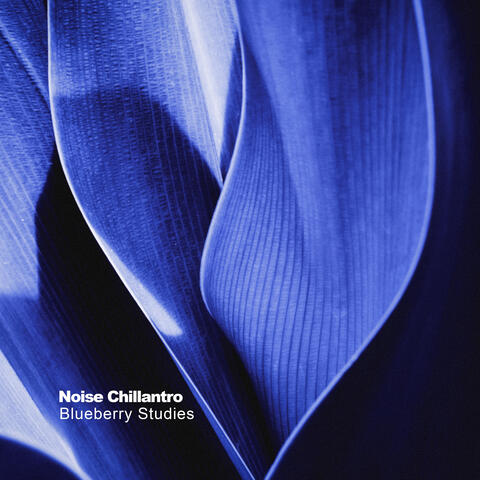 Blueberry Studies album art
