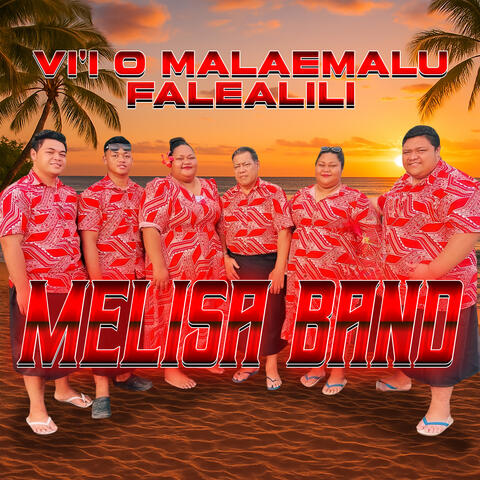 Vi'i O Malaemalu Falealili album art