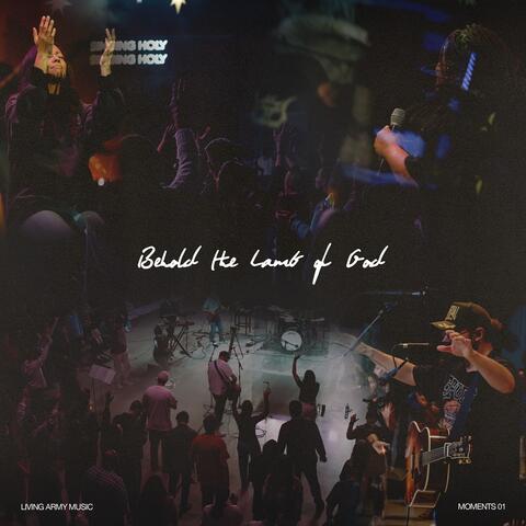 Moments 01: Behold the Lamb of God album art