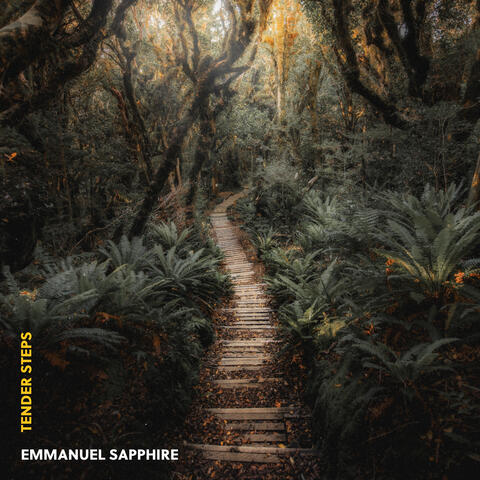 Tender Steps album art