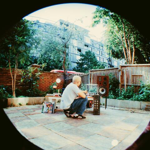 leaf album art