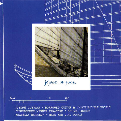 Junk album art