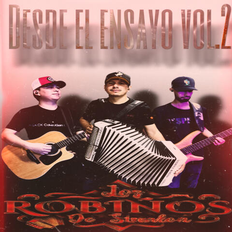 Desde el Ensayo, Vol. 2 album art