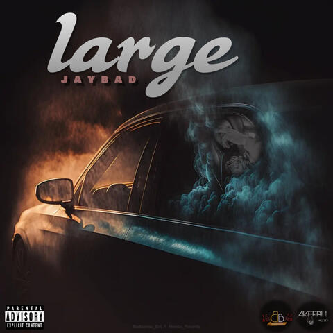 Large album art
