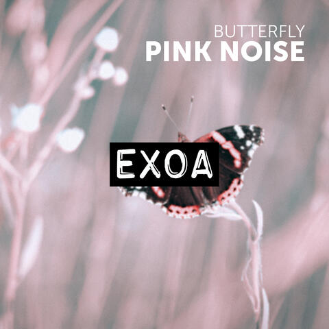 Butterfly Pink Noise album art