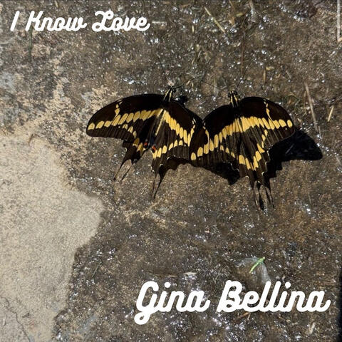 I Know Love album art